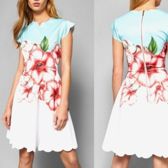 Ted Baker London Maevea Nectar mesh panel dress flower women's size 3 - Picture 2 of 15